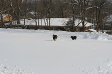 Enlarge photo 14
