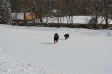 Enlarge photo 15