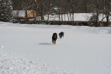 Enlarge photo 16