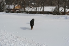 Enlarge photo 17