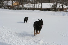 Enlarge photo 18