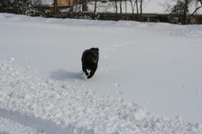 Enlarge photo 19