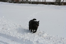 Enlarge photo 20