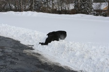 Enlarge photo 32