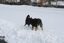 Enlarge photo 33