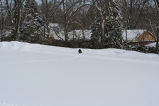 Enlarge photo 39