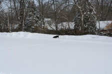 Enlarge photo 40