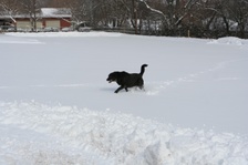Enlarge photo 41