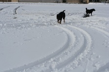 Enlarge photo 42