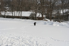 Enlarge photo 54