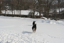 Enlarge photo 55