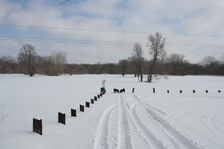 Enlarge photo 89