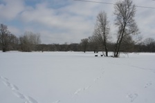 Enlarge photo 91