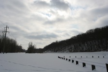 Enlarge photo 93