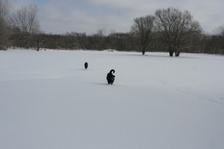 Enlarge photo 94