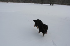 Enlarge photo 98