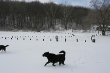 Enlarge photo 99
