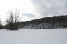Enlarge photo 101
