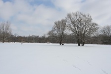 Enlarge photo 103