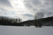 Enlarge photo 104