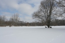 Enlarge photo 105