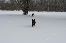 Enlarge photo 106