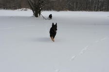 Enlarge photo 107