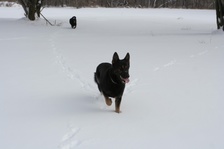 Enlarge photo 108