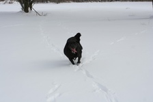 Enlarge photo 112