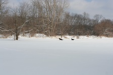 Enlarge photo 114