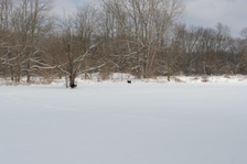 Enlarge photo 115