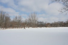 Enlarge photo 116