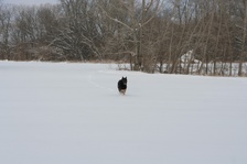 Enlarge photo 117