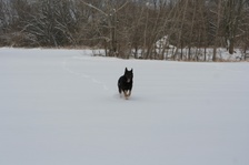 Enlarge photo 118