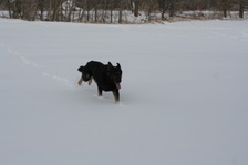 Enlarge photo 120