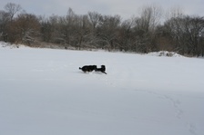 Enlarge photo 125
