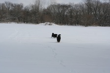 Enlarge photo 126