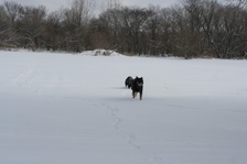 Enlarge photo 127