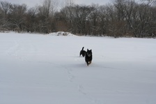 Enlarge photo 128