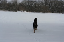 Enlarge photo 129