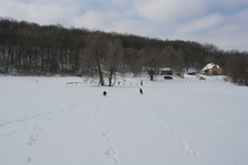 Enlarge photo 132