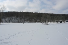 Enlarge photo 133