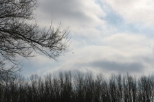 Enlarge photo 134