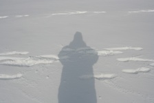 Enlarge photo 135