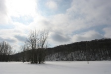 Enlarge photo 136