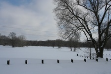 Enlarge photo 139