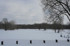 Enlarge photo 140