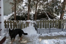 Enlarge photo 145