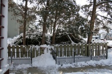 Enlarge photo 146