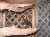 Enlarge photo 32